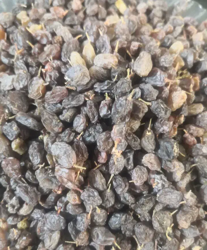 کشمش پلویی|خوردنی و آشامیدنی|ساوه, |دیوار