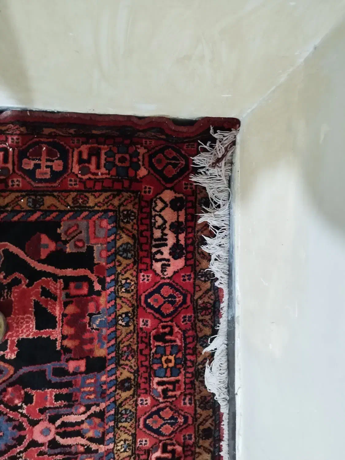 فرش دستباف قدیمی ۵۰ سال پیش|فرش|نهاوند, |دیوار