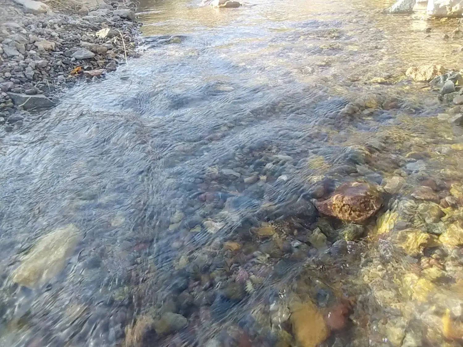 زمین مسکونی امین آباد و نیروی انتظامی|اجارهٔ خانه و ویلا|دهگلان, |دیوار