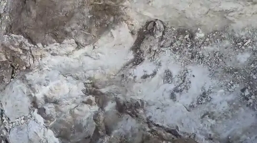 فروش محدوده باریت پروانه اکتشاف|عمدهفروشی|شاندیز, |دیوار