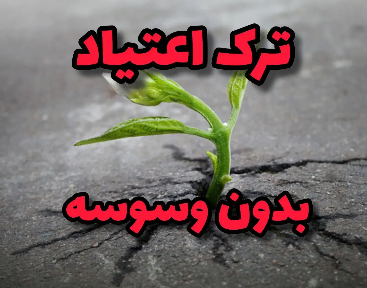 ترک اعتیاد بدون درد خماری|خدمات آرایشگری و زیبایی|شادگان, |دیوار