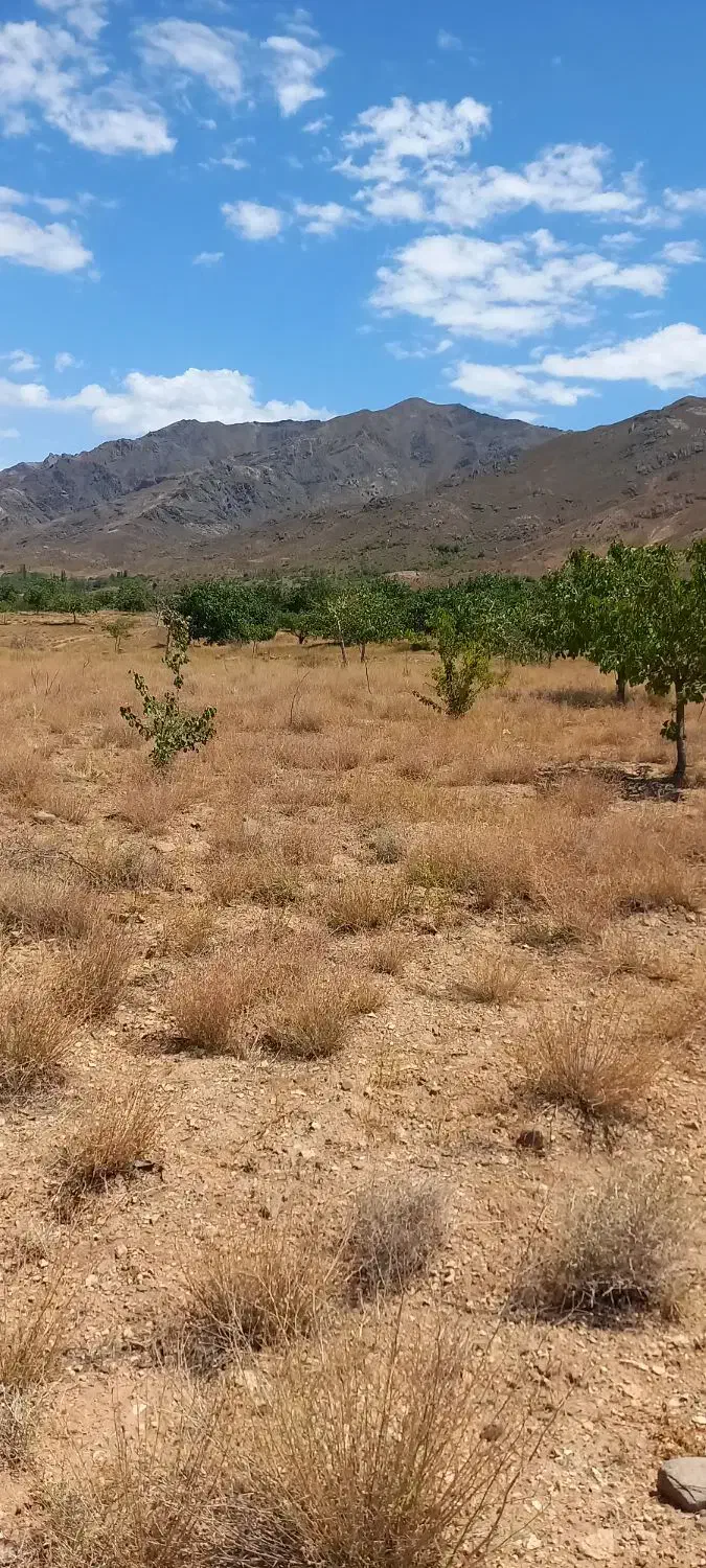 فروش ۱۰قصب زمین باغ|فروش زمین و ملک کلنگی|درب بهشت, |دیوار