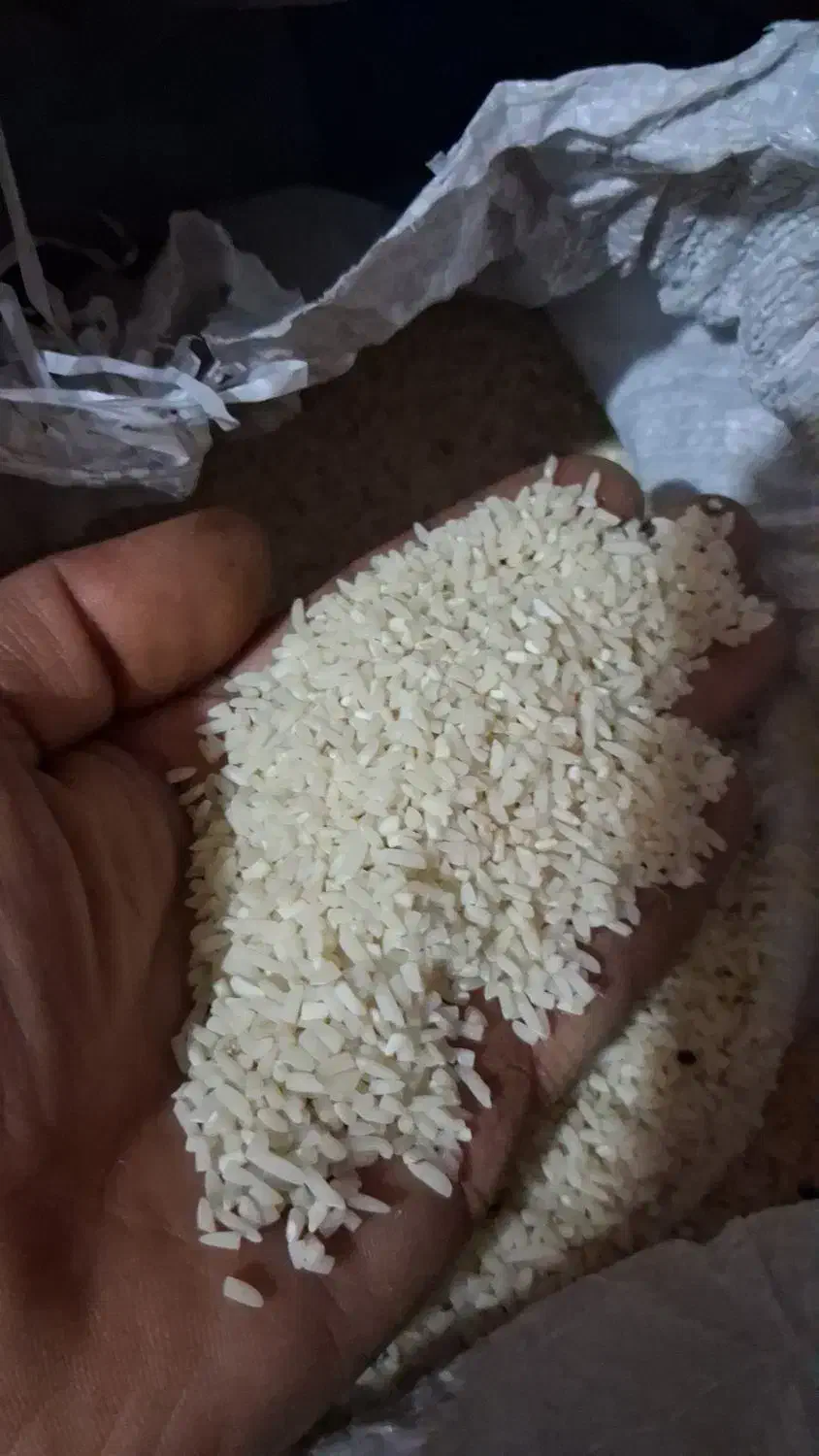 برنج هاشمی محلی|خوردنی و آشامیدنی|پاکدشت, شهرک امام رضا|دیوار