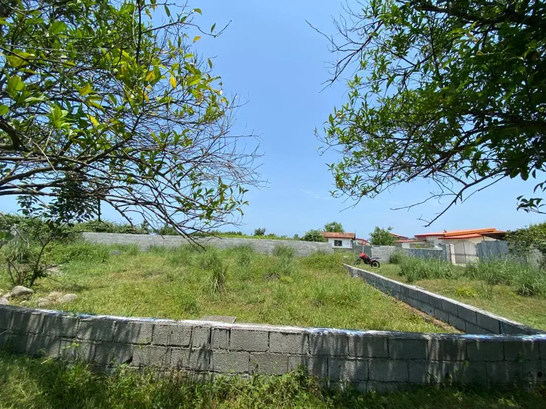 زمین خوش نقشه تمشگل|فروش زمین و ملک کلنگی|نشتارود, |دیوار