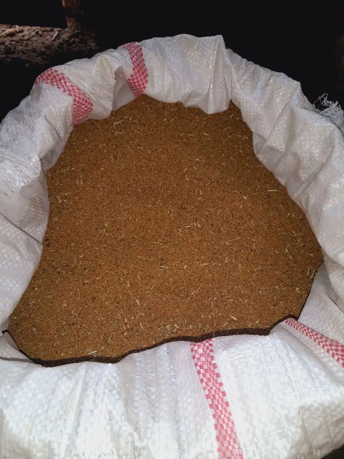 بذریونجه آبی|گل و گیاه طبیعی|شیروان (خراسان), |دیوار