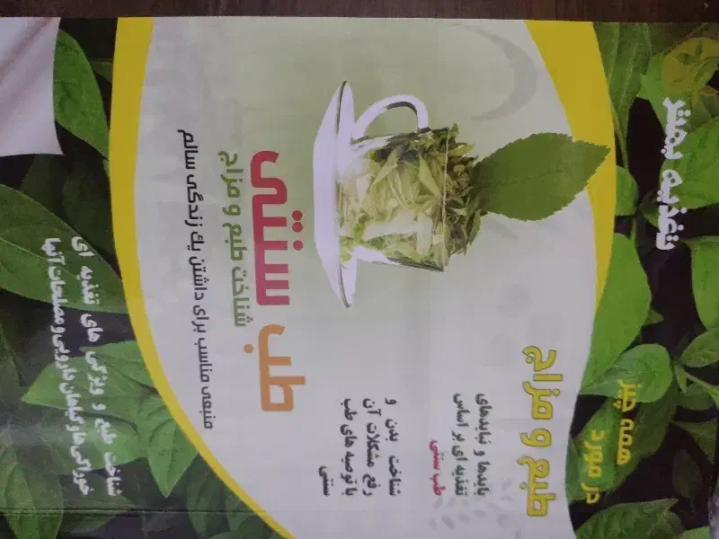 فروش کتاب طب سنتی|کتاب و مجله آموزشی|صومعهسرا, |دیوار