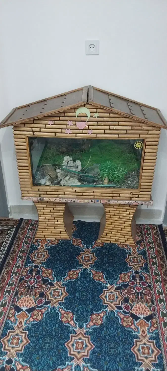 آکواریوم|ماهی|آبیک, |دیوار