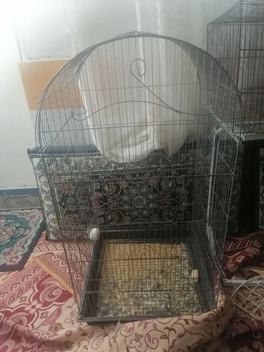 قفس بزرگ|لوازم جانبی حیوانات|سبزوار, چهارراه فرودگاه|دیوار