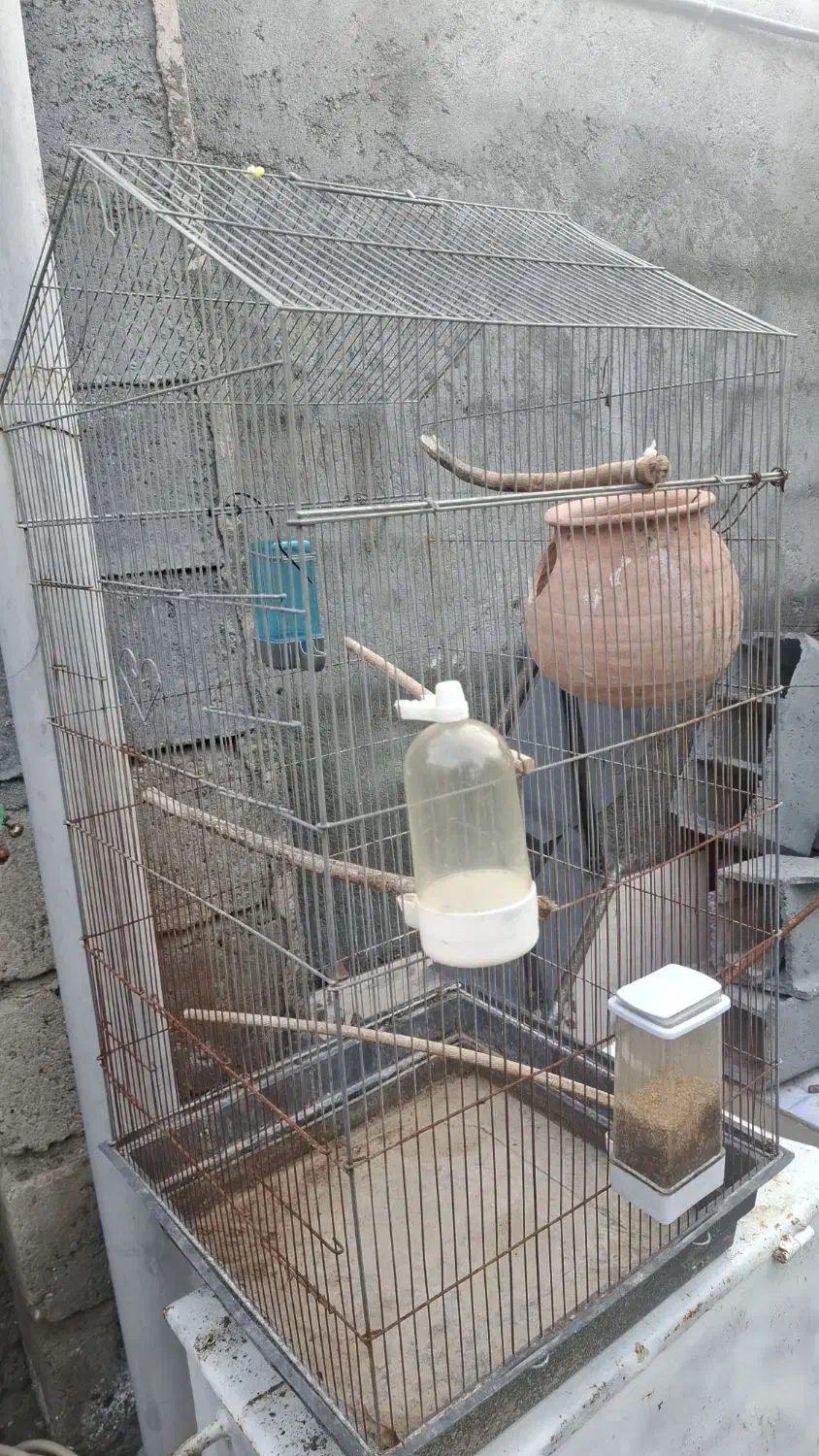 قفس پرنده|لوازم جانبی حیوانات|بیکاه, |دیوار