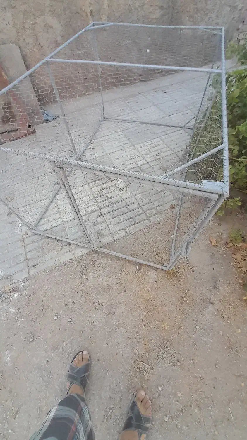 توری مرغ|لوازم جانبی حیوانات|زرند, |دیوار