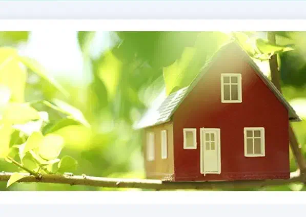 زمین|فروش زمین و ملک کلنگی|سیوان, |دیوار