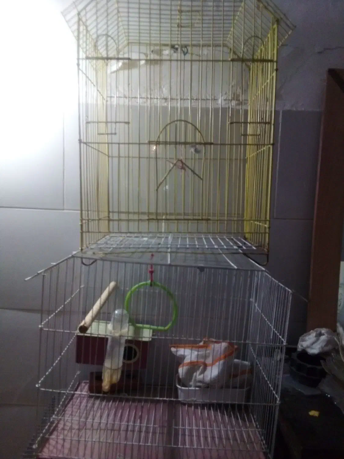 3عددقفس پرند|لوازم جانبی حیوانات|مشکین‌دشت, |دیوار