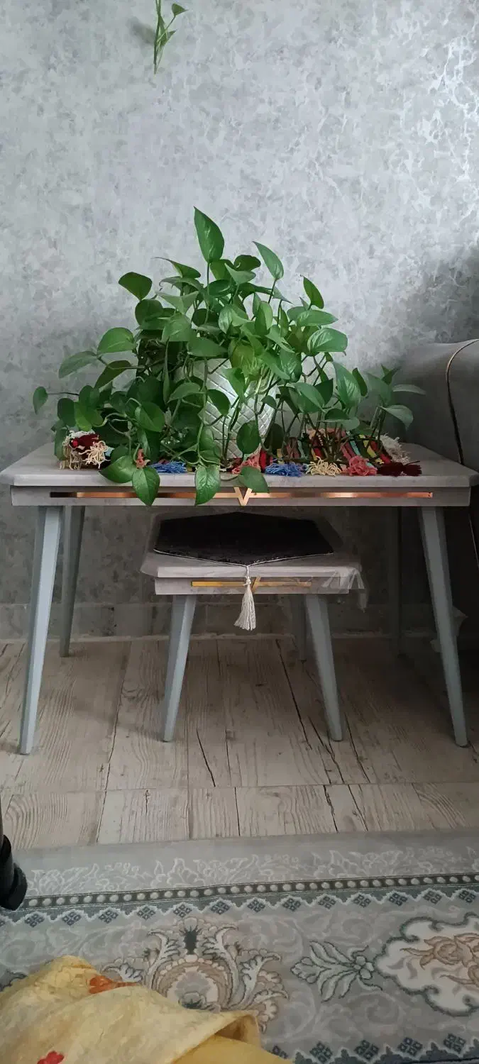 جلو مبلی|مبلمان خانگی و میز عسلی|اسفراین, |دیوار