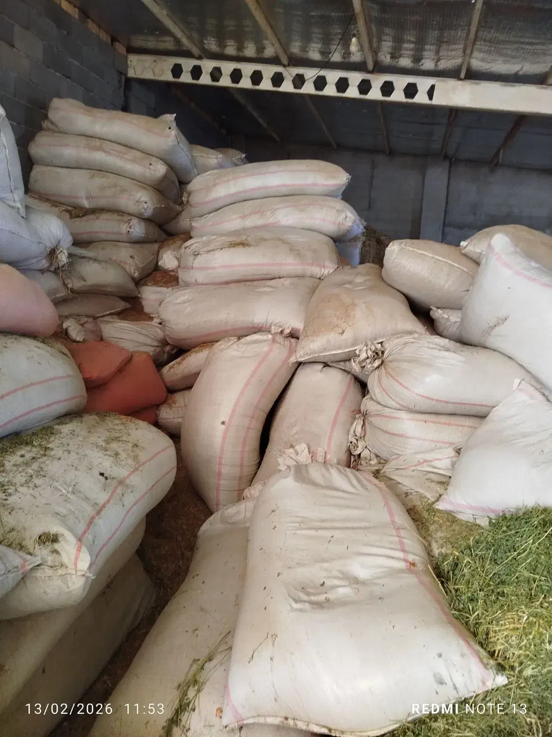 کاه گندم 18|لوازم جانبی حیوانات|فاروج, |دیوار