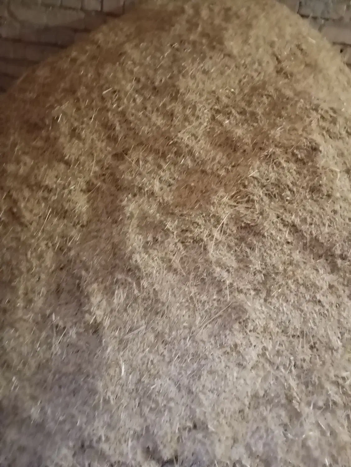 کاه گندم|لوازم جانبی حیوانات|اشترینان, |دیوار