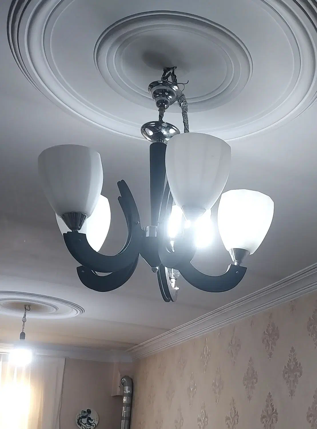 دو عدد لوستر ۵ شاخه|لوستر و چراغ آویز|کرج, اکبرآباد|دیوار