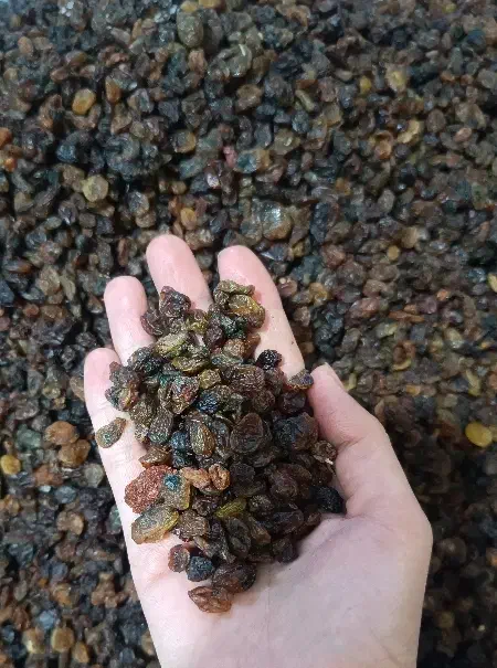 کشمش بیدانه افتاب خشک|خوردنی و آشامیدنی|هشتگرد, شهرک راه آهن|دیوار