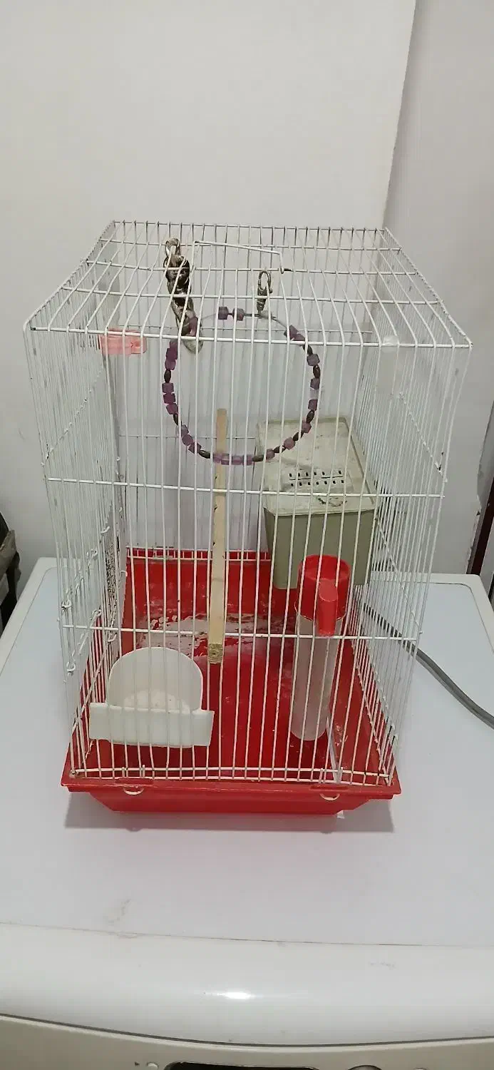 قفس پرنده|لوازم جانبی حیوانات|سنندج, |دیوار