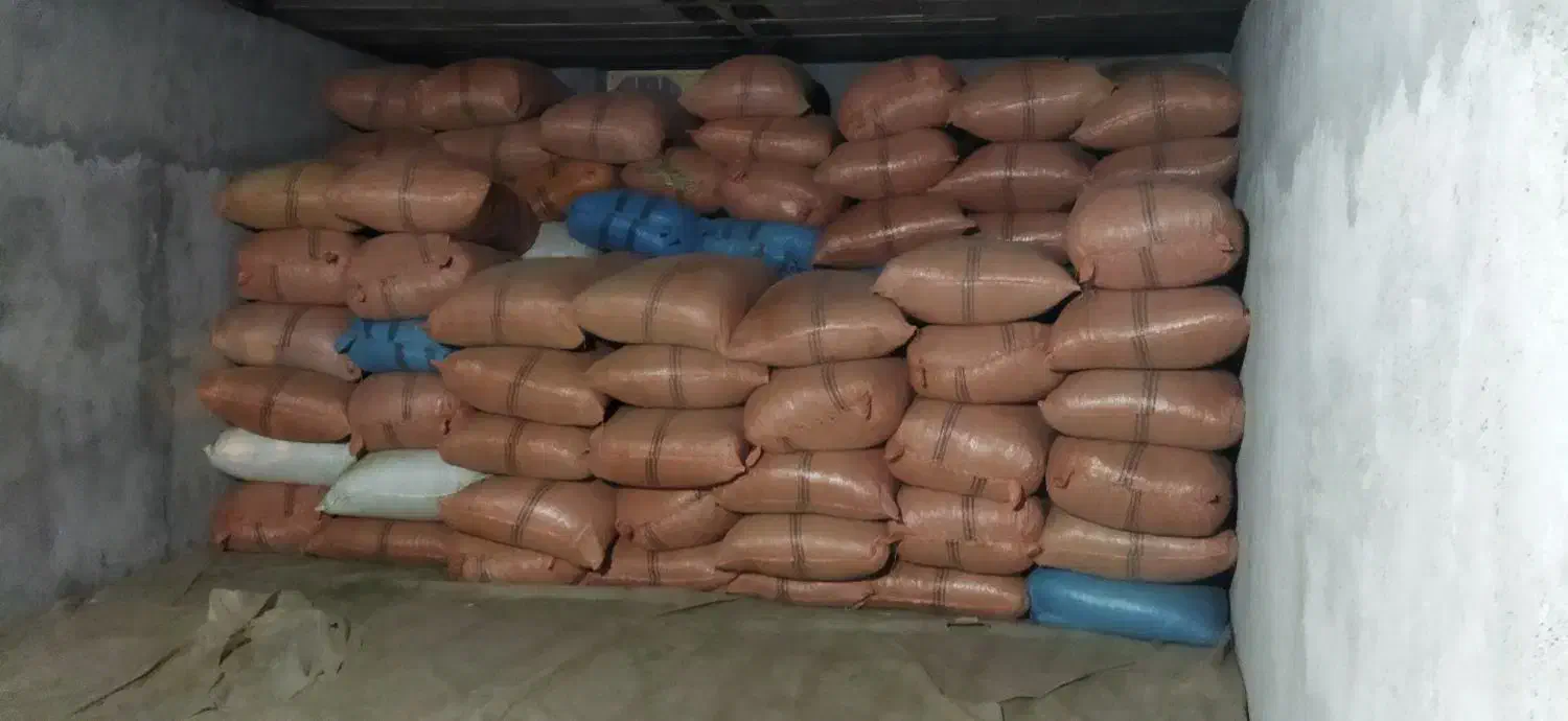 یونجه و بلوط|خدمات باغبانی و درختکاری|دهدشت, |دیوار