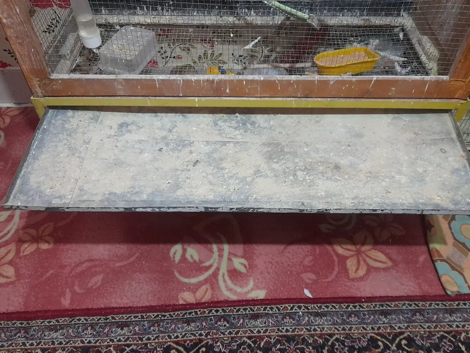 قفس چوبی|لوازم جانبی حیوانات|قم, ولیعصر|دیوار