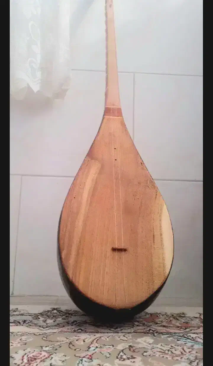 دوتار حرفه ای کرمانجی|سازهای سنتی|آشخانه, |دیوار