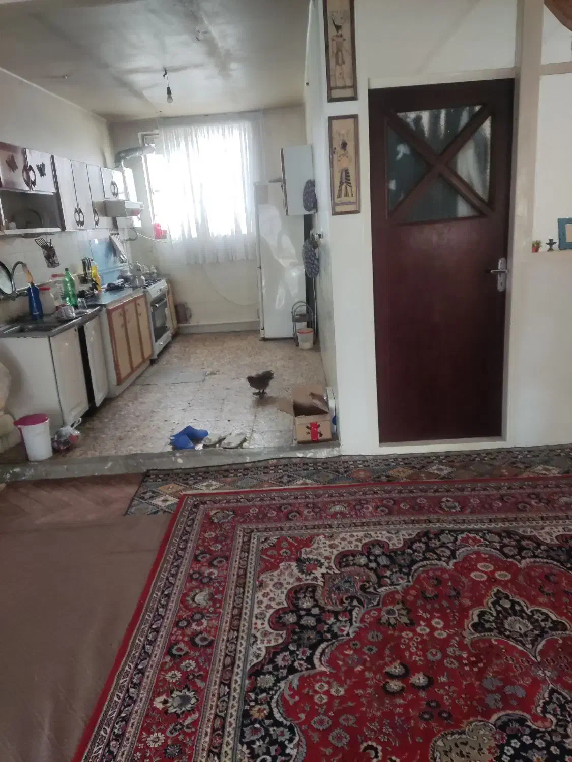 خونه ویلایی بزرگ|اجارهٔ آپارتمان|اسلامشهر, شهرک سالور|دیوار