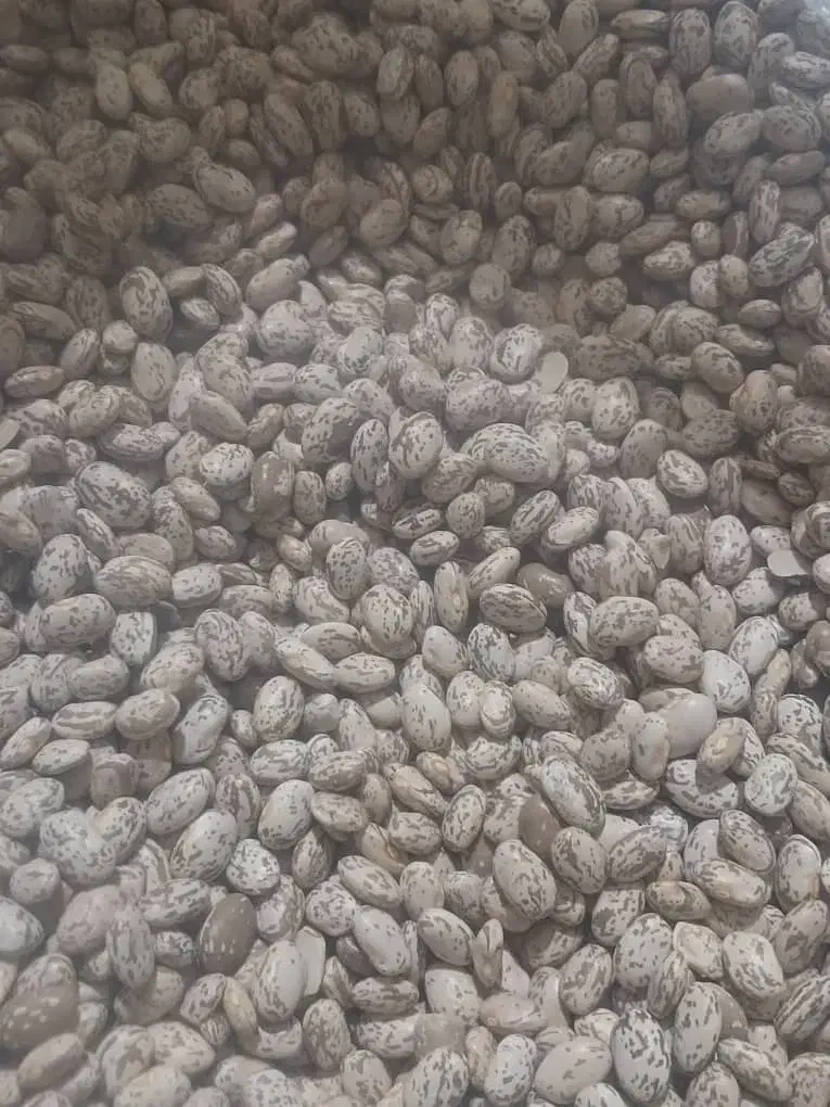 محصولات محلی|خوردنی و آشامیدنی|اهواز, شهدای انتظامی|دیوار