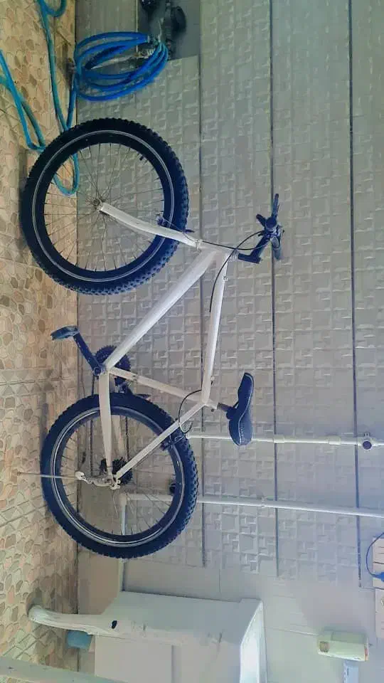 دوچرخه|دوچرخه، اسکیت، اسکوتر|اندیمشک, |دیوار