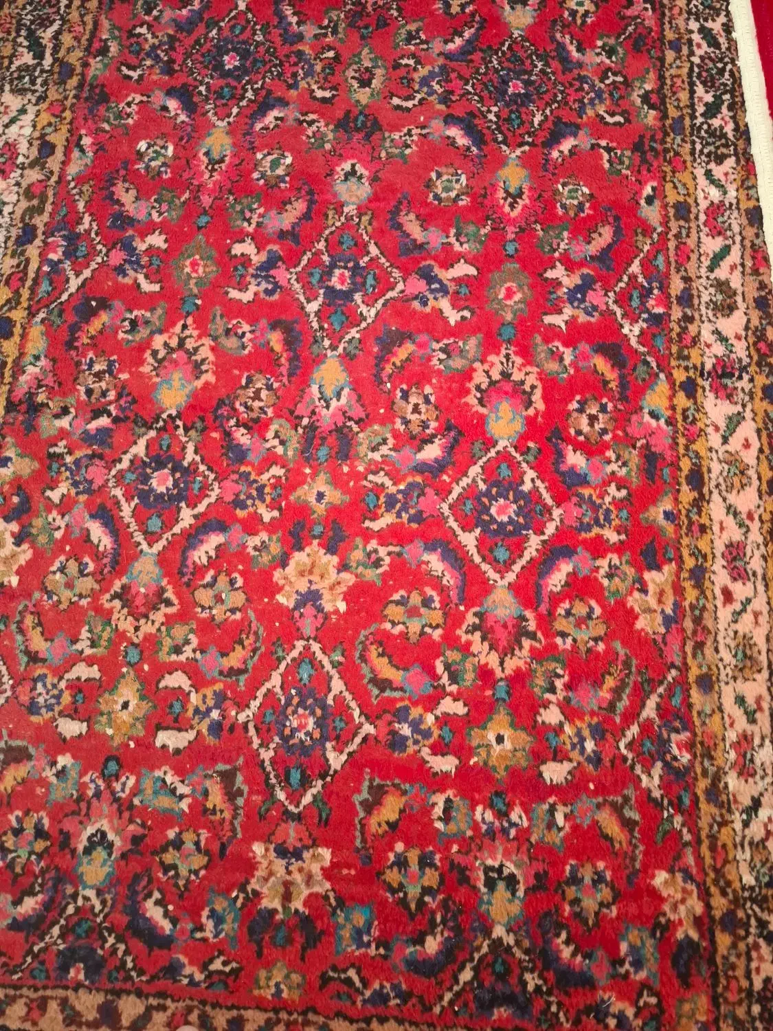 فرش دست بافت شش عدد|فرش|همدان, |دیوار