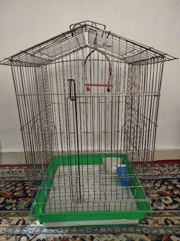 قفس طوطی|لوازم جانبی حیوانات|مشکین‌دشت, |دیوار