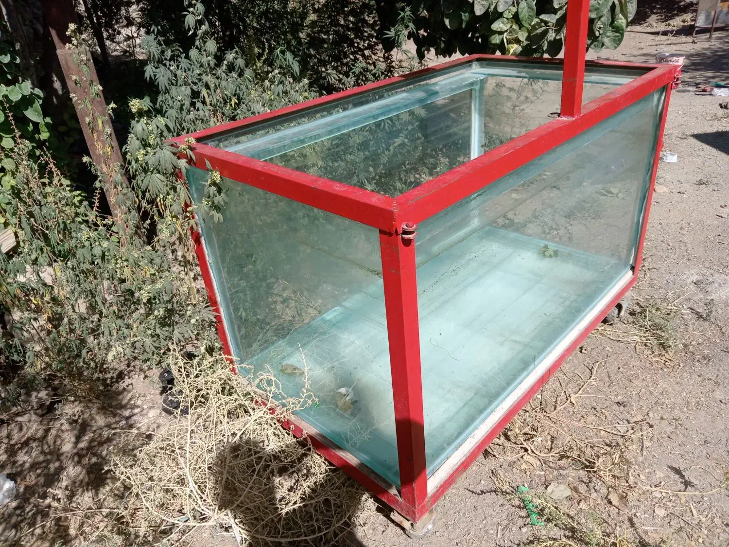 اکواریوم ظرفیت ۳۰کیلو|ماهی|مریوان, |دیوار