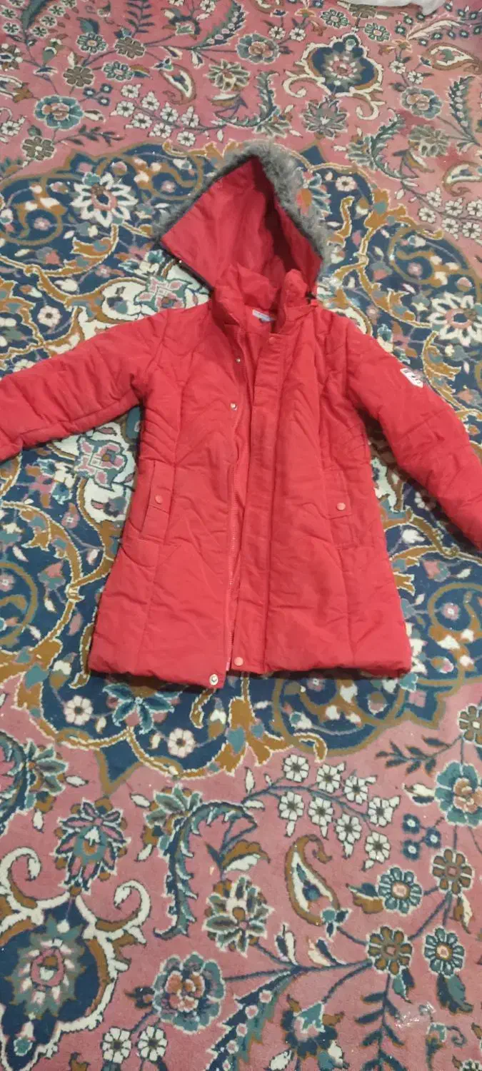 انواع لباس دخترانه|لباس|شیروان (خراسان), |دیوار