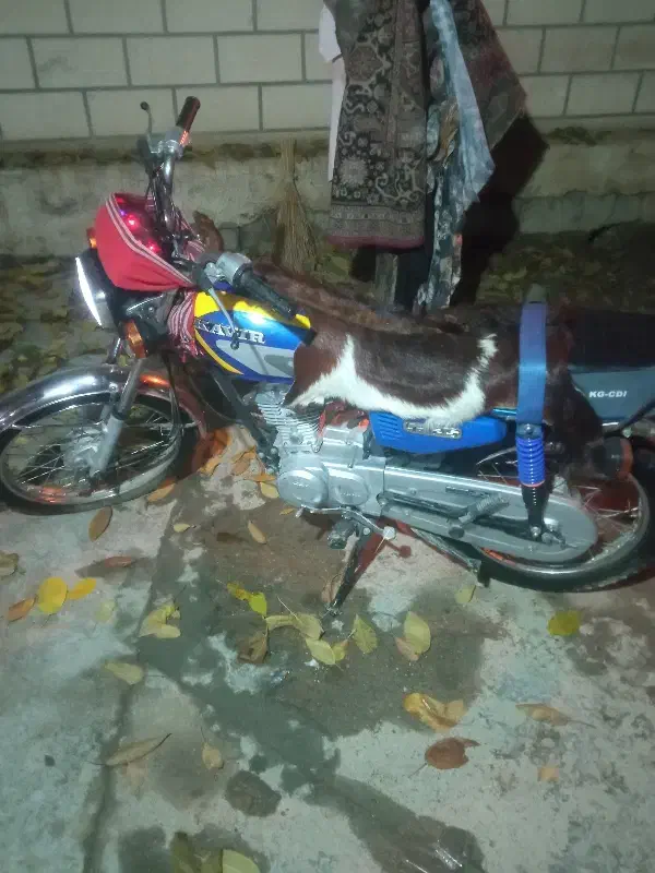 موتور 125کویر|موتورسیکلت|میاندوآب, |دیوار