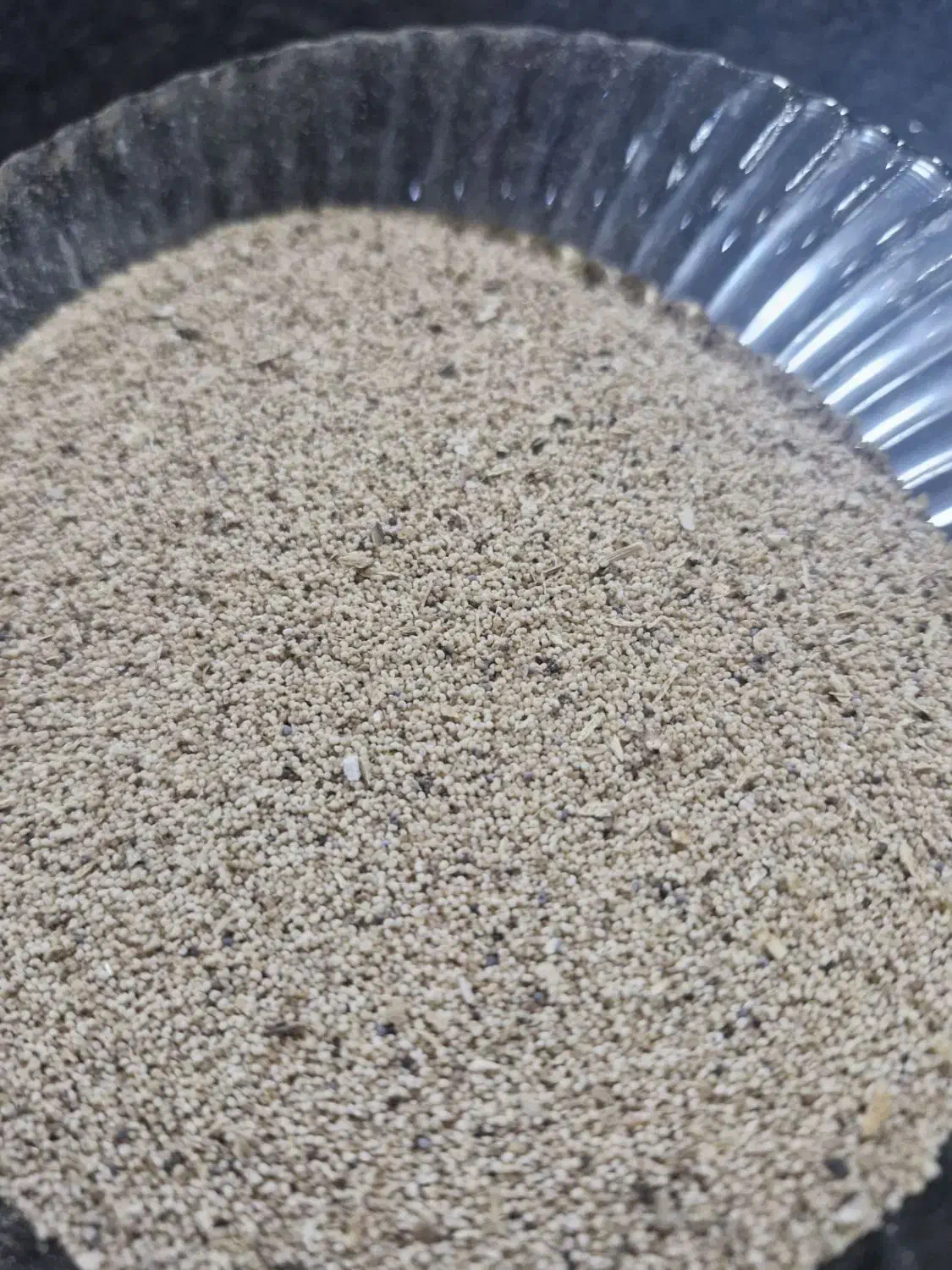 بذر گیاه عطاری هلندی|گل و گیاه طبیعی|کرمانشاه, |دیوار