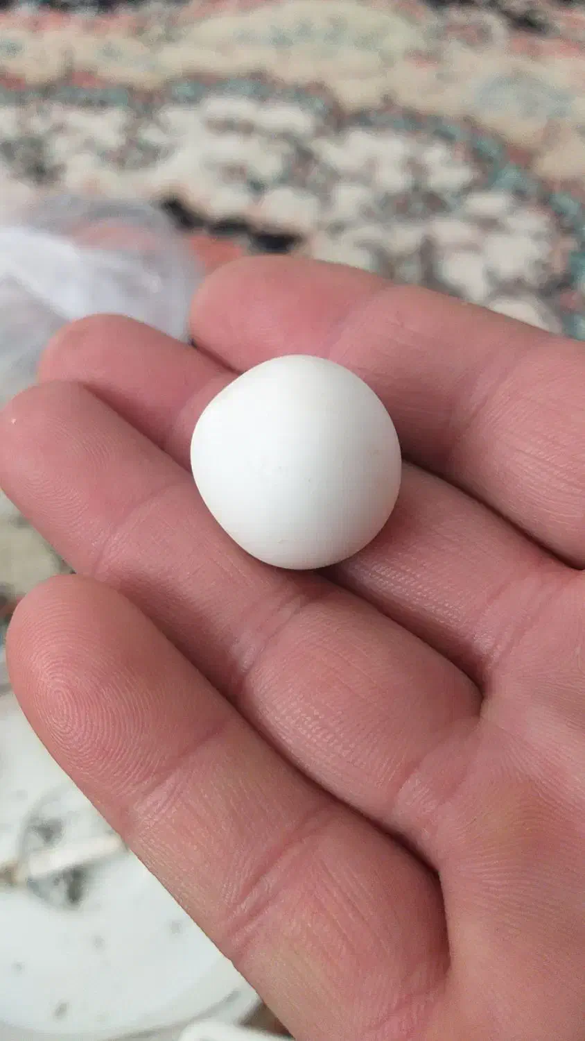 سنگهای قیمتی الماس اسیاب|جواهرات|پرند, فاز ۶|دیوار