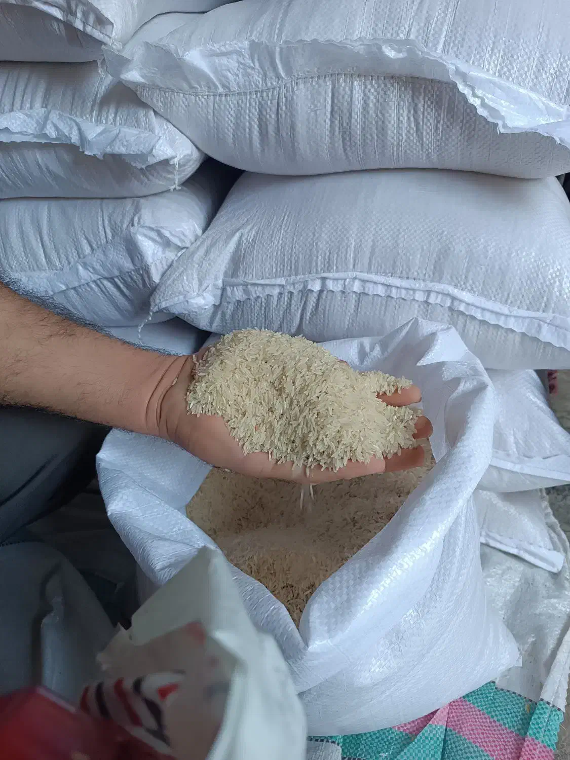 برنج فجر سوزنی 95روزه|عمده‌فروشی|رامیان, |دیوار