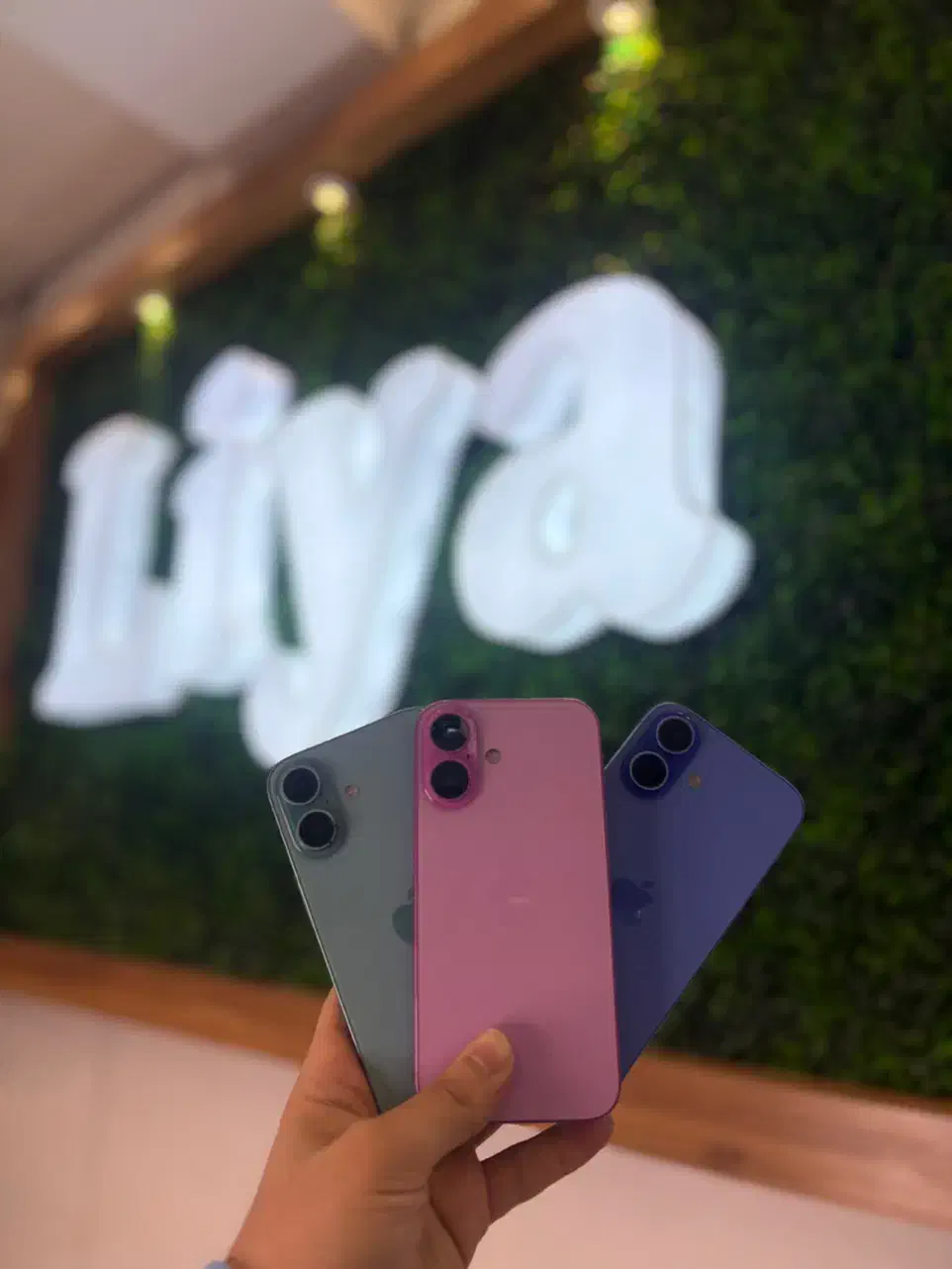 آیفون ۱۶ نرمال|موبایل|تهران, گیشا|دیوار