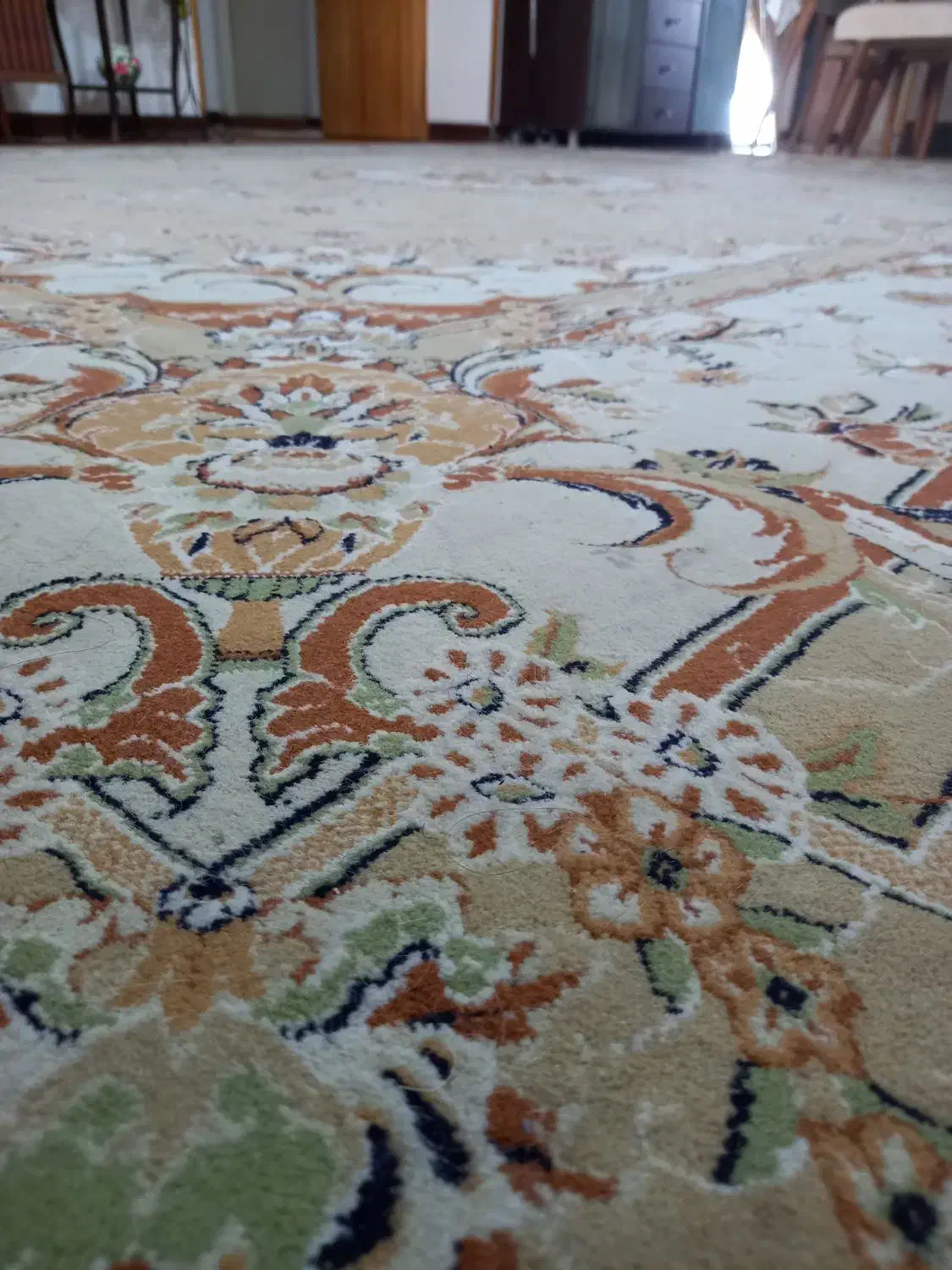 فرش|فرش|فولادشهر, B6|دیوار