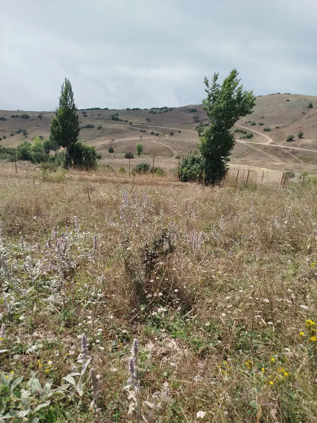 فروش زمین درروستای گرزنچاک مجاورداماش|فروش زمین و ملک کلنگی|جیرنده, |دیوار