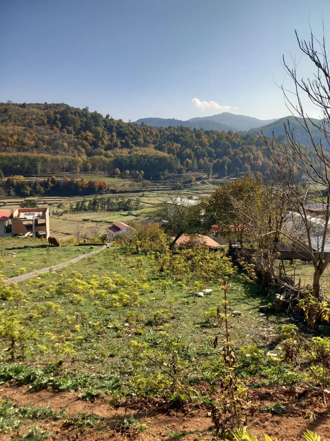 ملک سند دار|فروش زمین و ملک کلنگی|زیرآب, |دیوار