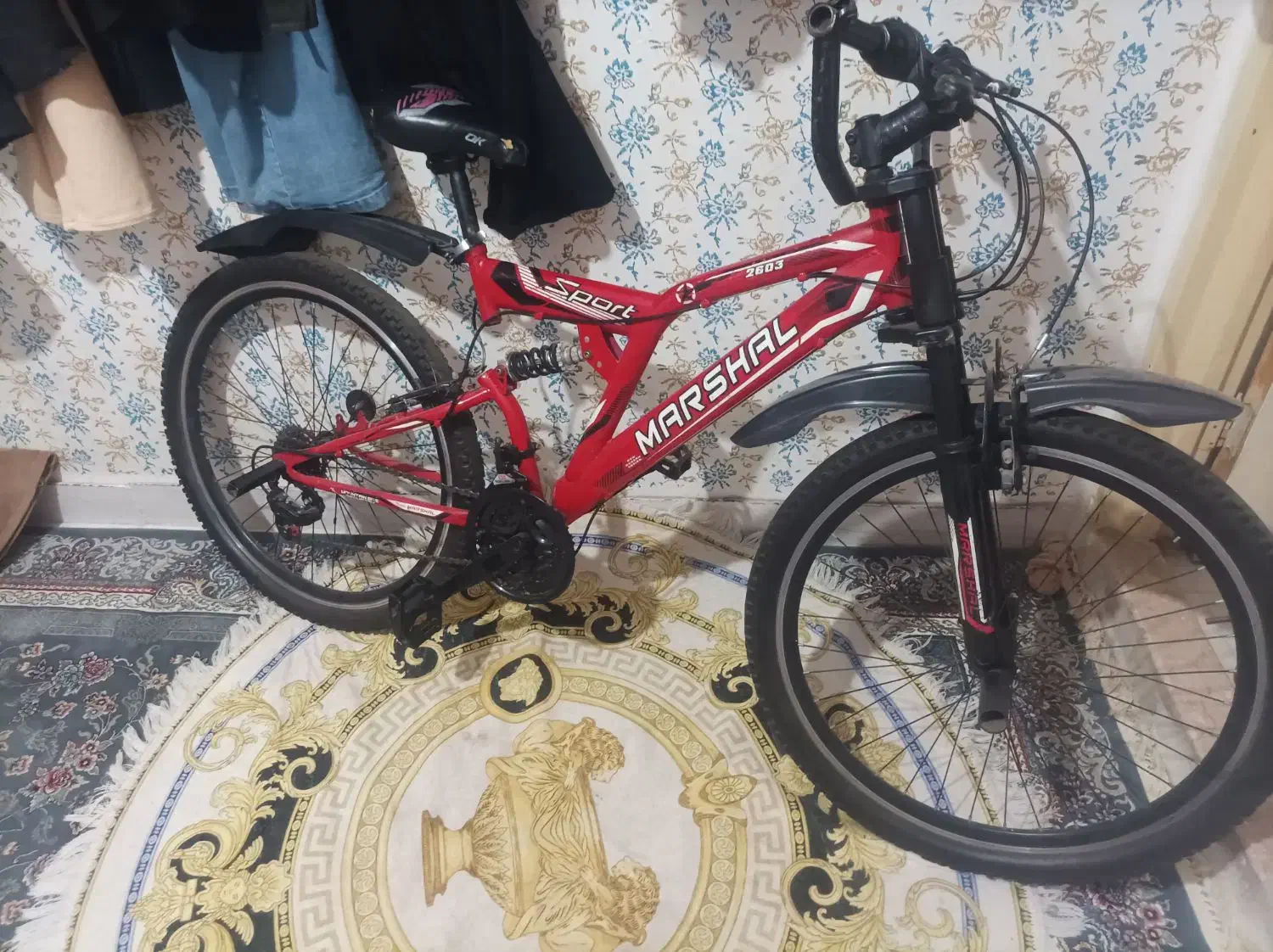 دوچرخه سایز 26|دوچرخه، اسکیت، اسکوتر|قرچک, پویینک|دیوار