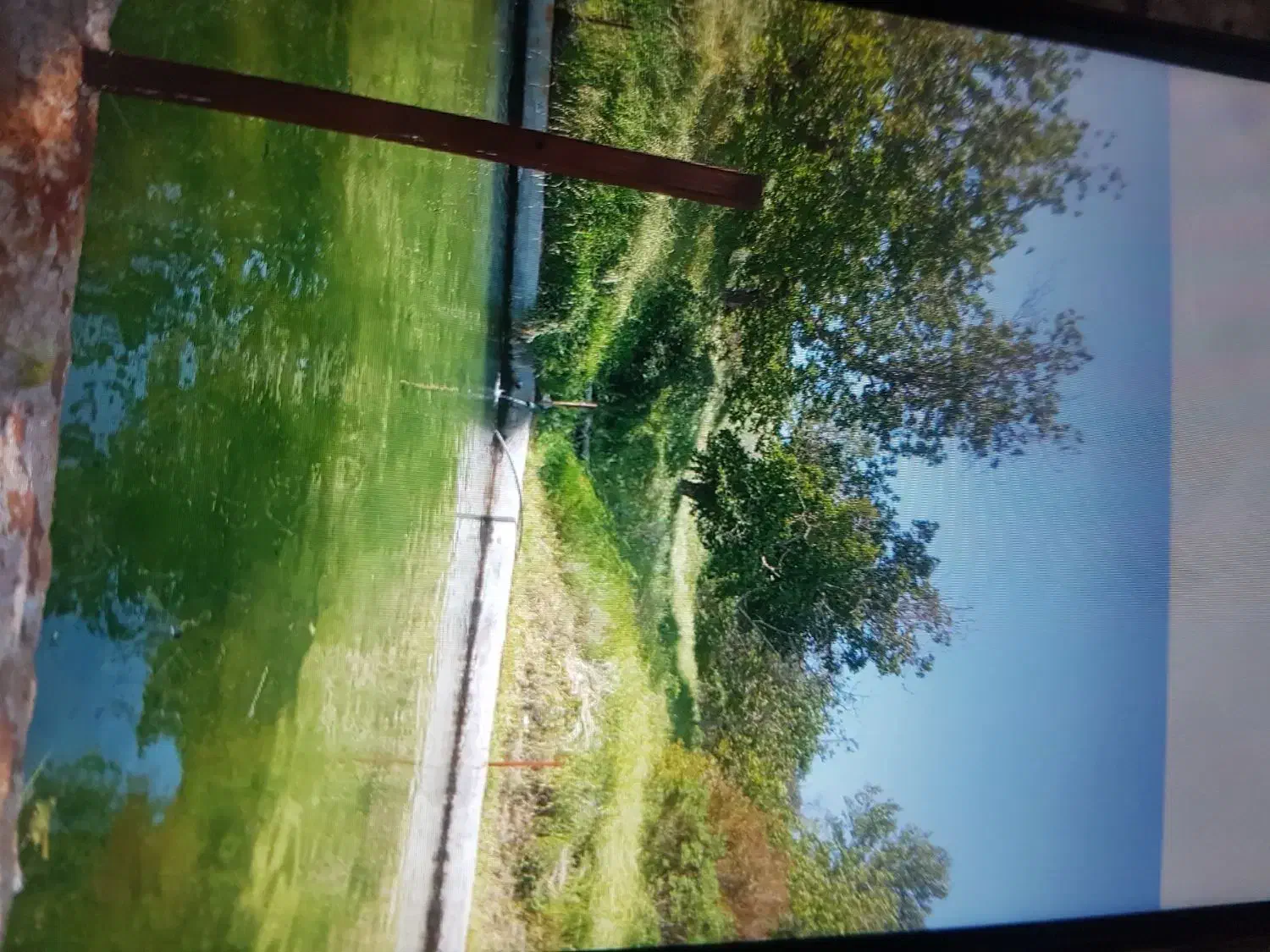 اجاره زمین کشاورزی|اجارهٔ دفتر صنعتی، کشاورزی، تجاری|بروجرد, |دیوار