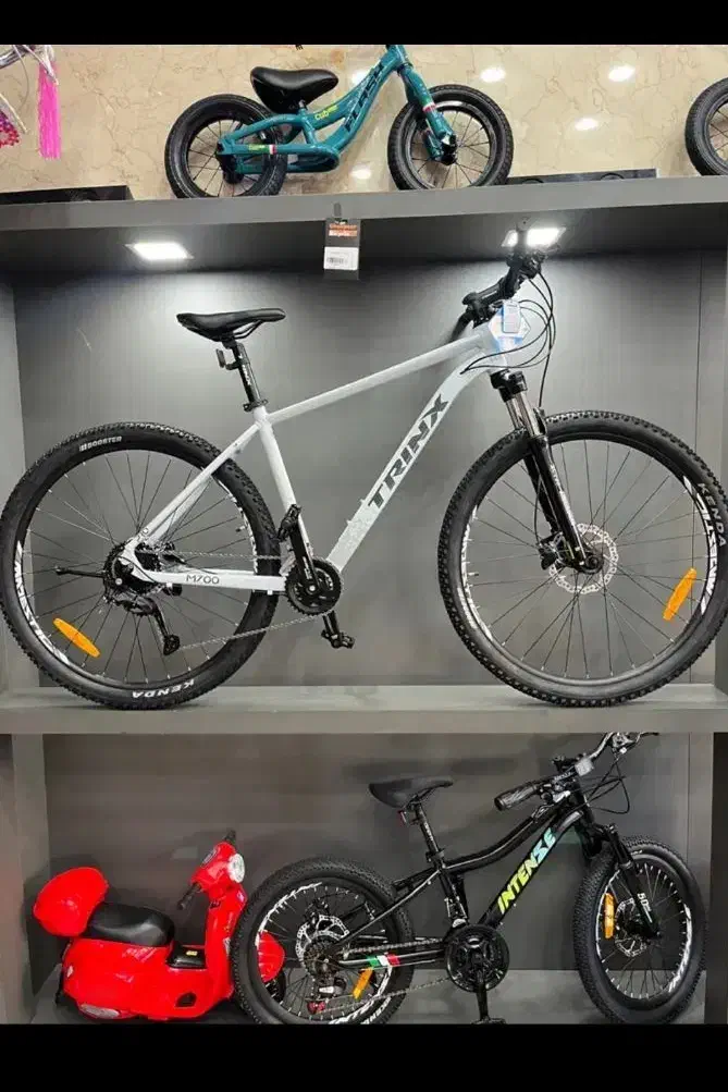 انواع دوچرخه زیر قیمت نمایندگی Mپراطور|دوچرخه، اسکیت، اسکوتر|کرمان, |دیوار