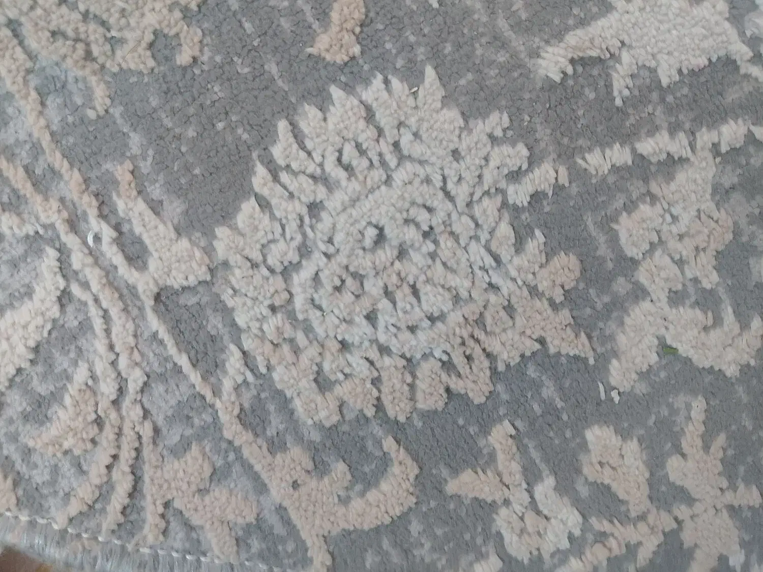 2تا پادری  یه  عدد براه راه رو|پادری|پاکدشت, پاکدشت (مامازند)|دیوار