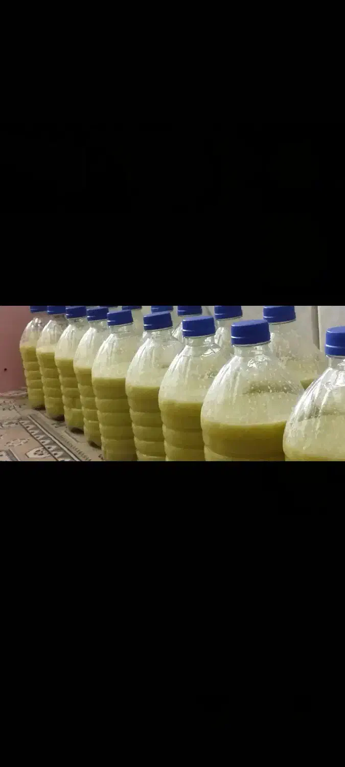 آبلیمو دستگیر درجه 1|خوردنی و آشامیدنی|جهرم, |دیوار