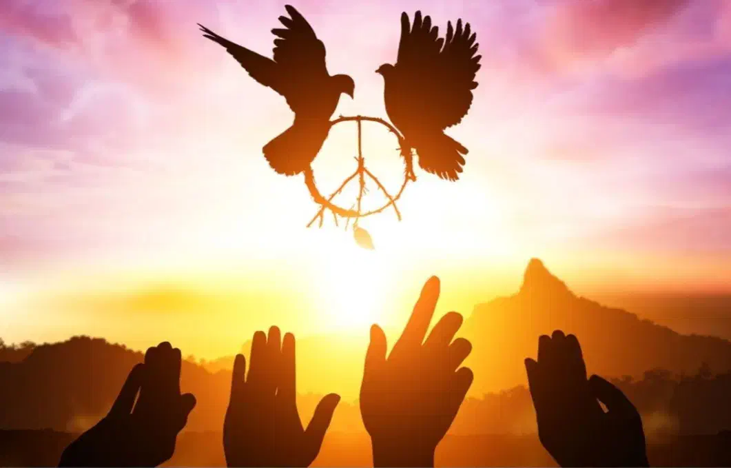 موسسه حقوقی|فعالیت داوطلبانه|زابل, |دیوار