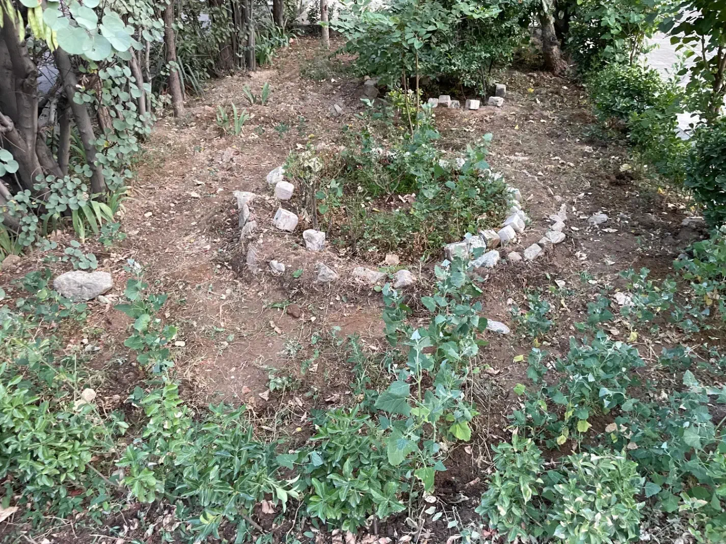 آموزش نویسندگی رمان و نمایشنامه|خدمات آموزشی|تهران, پونک|دیوار