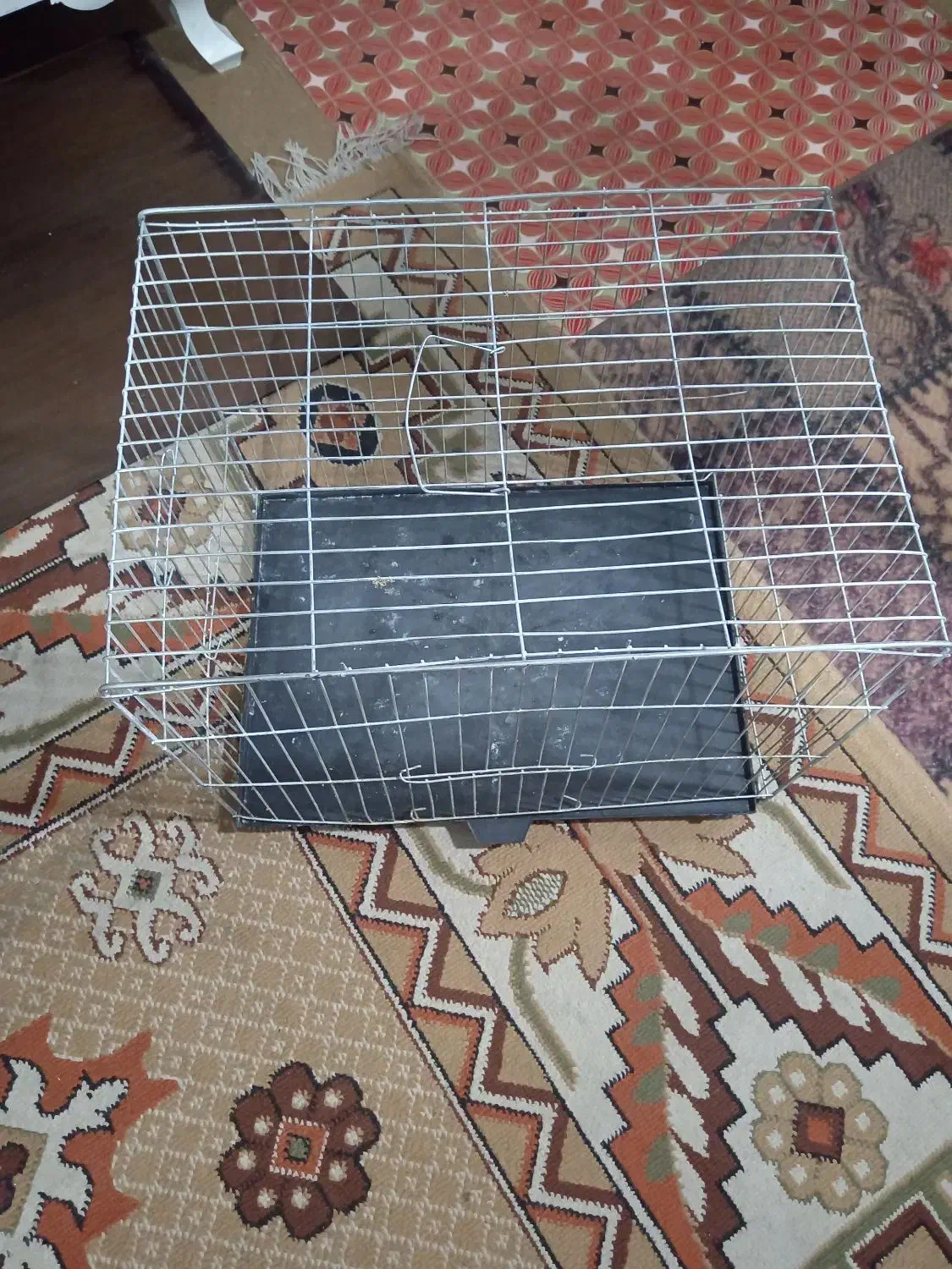 قفس قناری|لوازم جانبی حیوانات|کرمان, |دیوار