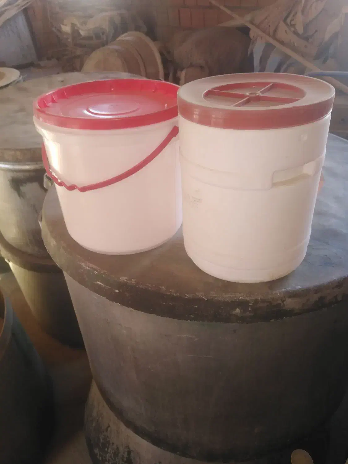 دبه8 کیلویی|ظروف نگهدارنده، پلاستیکی، یکبارمصرف|گنبد کاووس, |دیوار