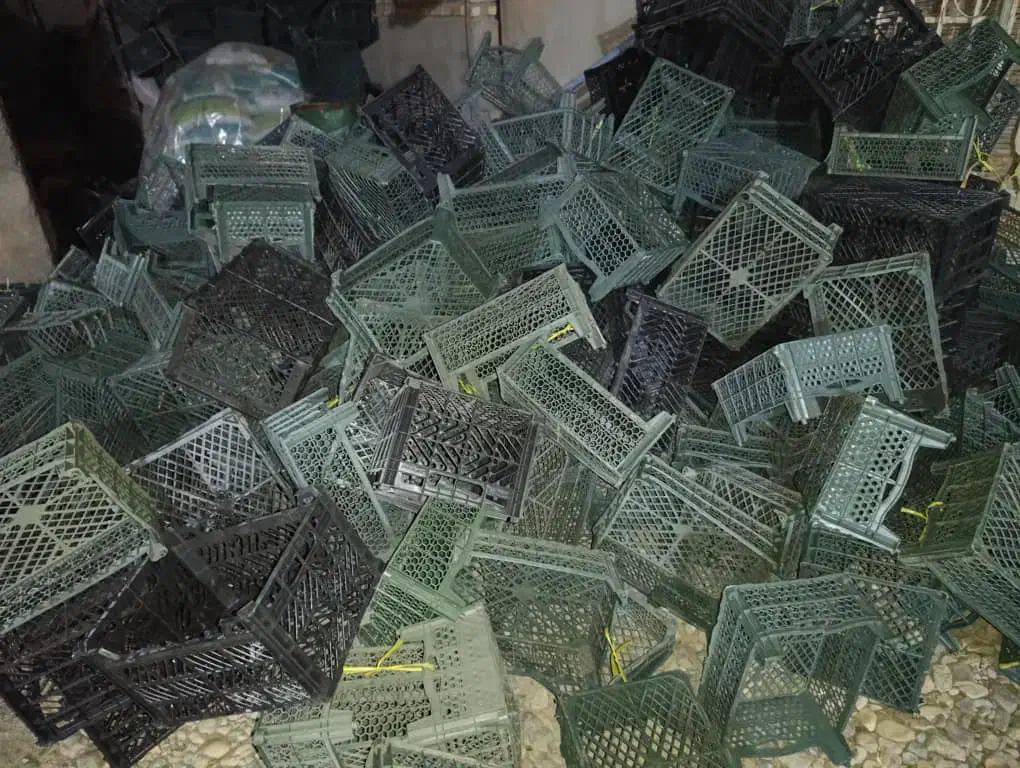 سبد نو فروشی|ظروف نگهدارنده، پلاستیکی، یک‌بارمصرف|آق قلا, |دیوار